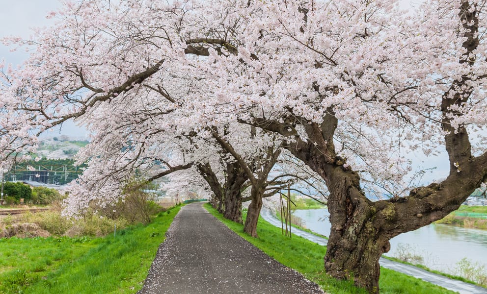 Cheap car rentals in Sendai, Japan