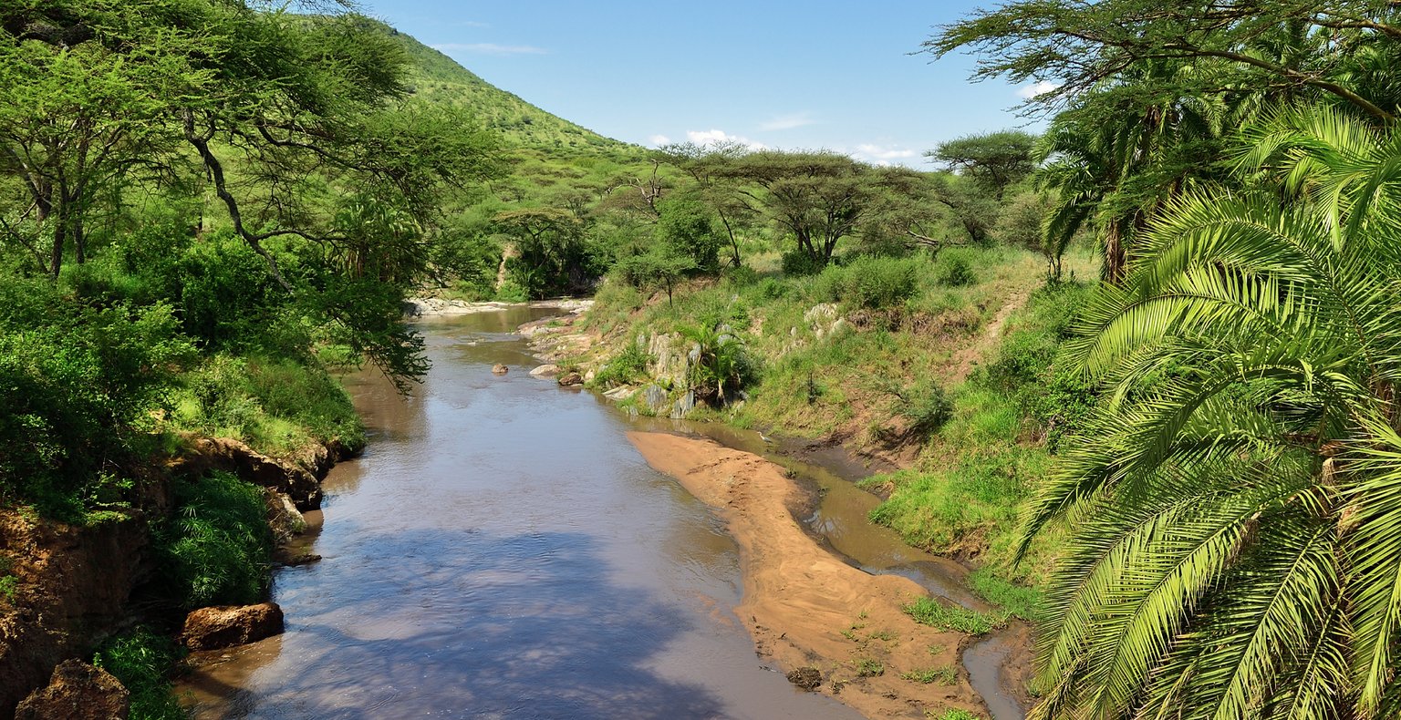 Vuelos baratos de Zanzíbar to Seronera a partir de 146 €
