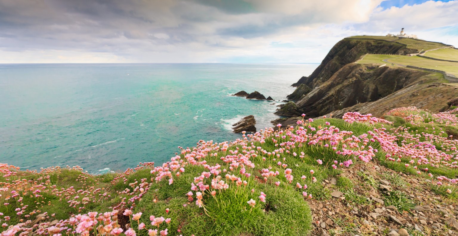 Günstige Flüge von Düsseldorf zu den Shetlandinseln ab 372 €