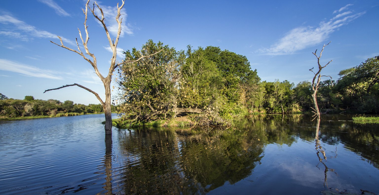 Günstige Flüge nach Skukuza, Südafrika