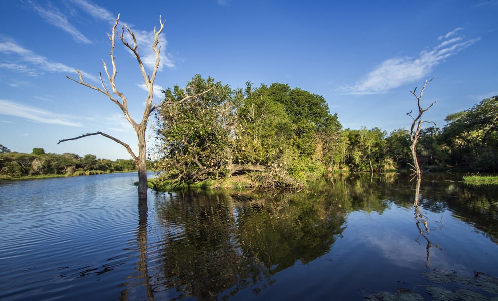 Cheap car rentals in Skukuza, South Africa