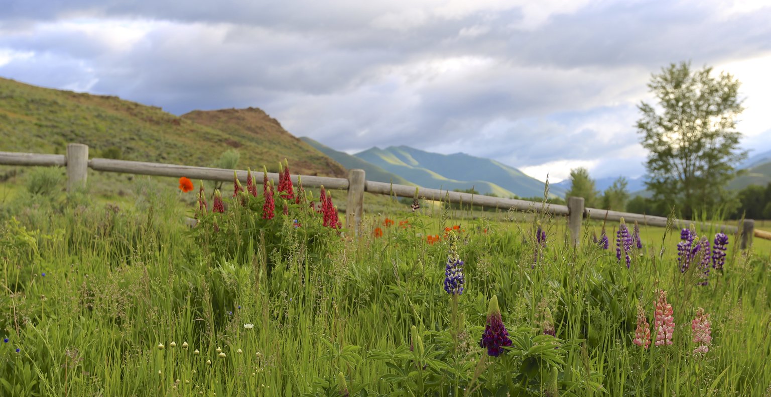 Cheap flights from Los Angeles to Sun Valley from $241