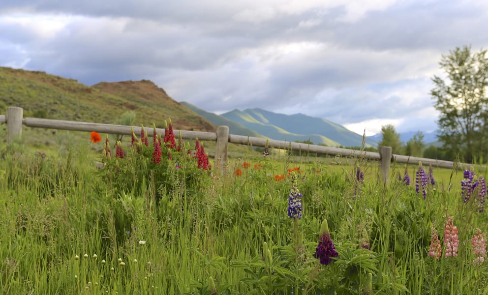 Alquiler de coches barato en Sun Valley, Estados Unidos