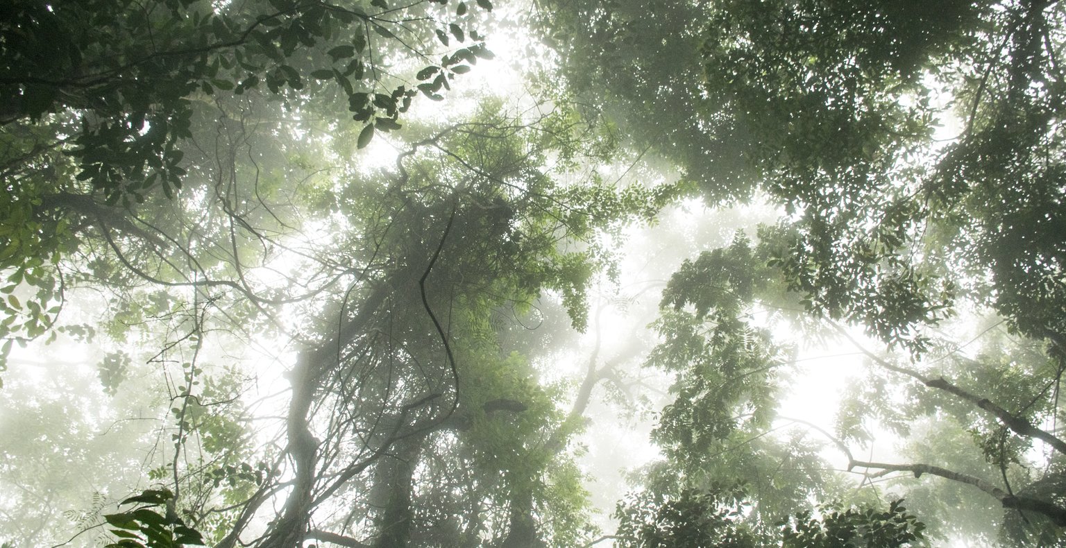 Авиарейсы в г. Табора, Танзания