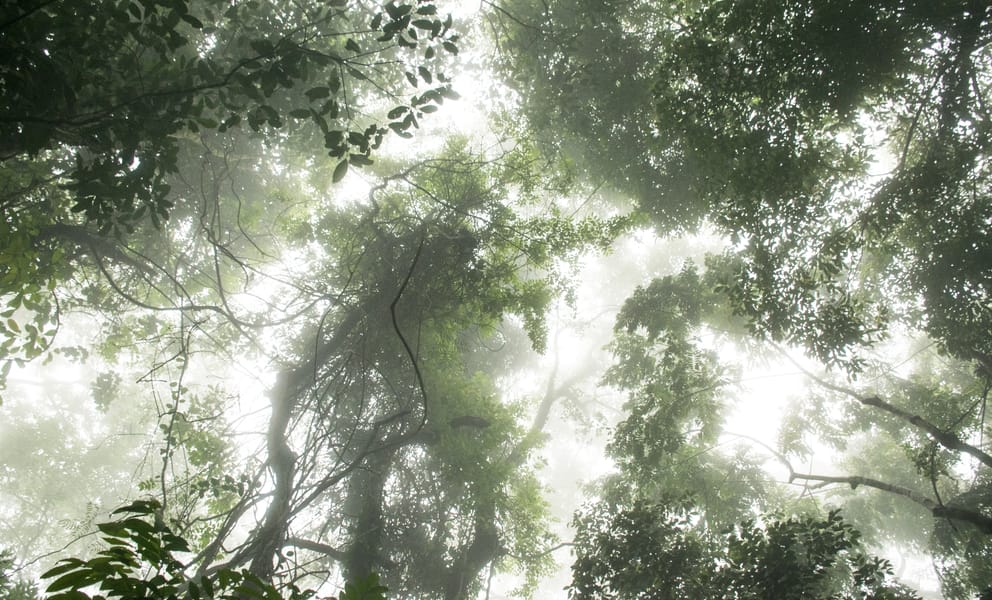 Cheap car rentals in Tabora, Tanzania