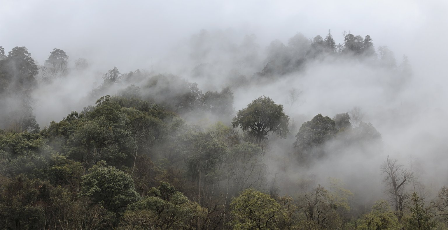 Cheap flights from Ürümqi to Tacheng Prefecture from $780