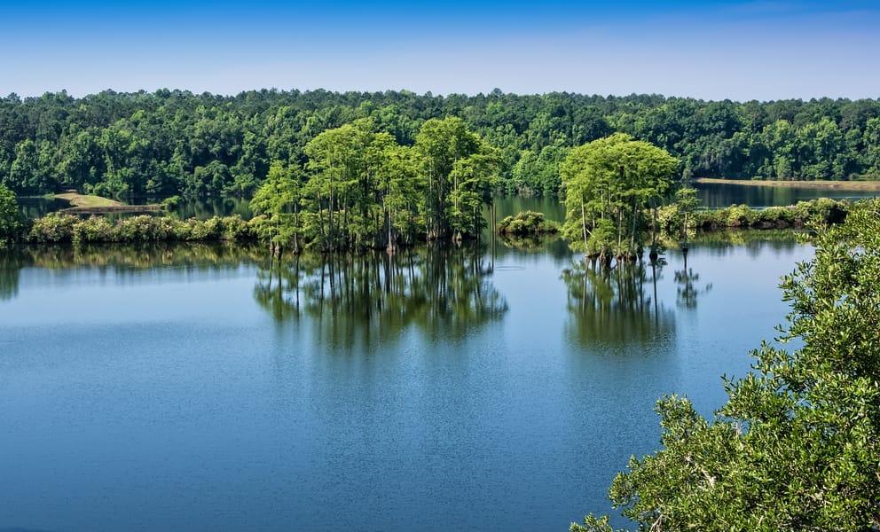 Cheap car rentals in Tallahassee, United States