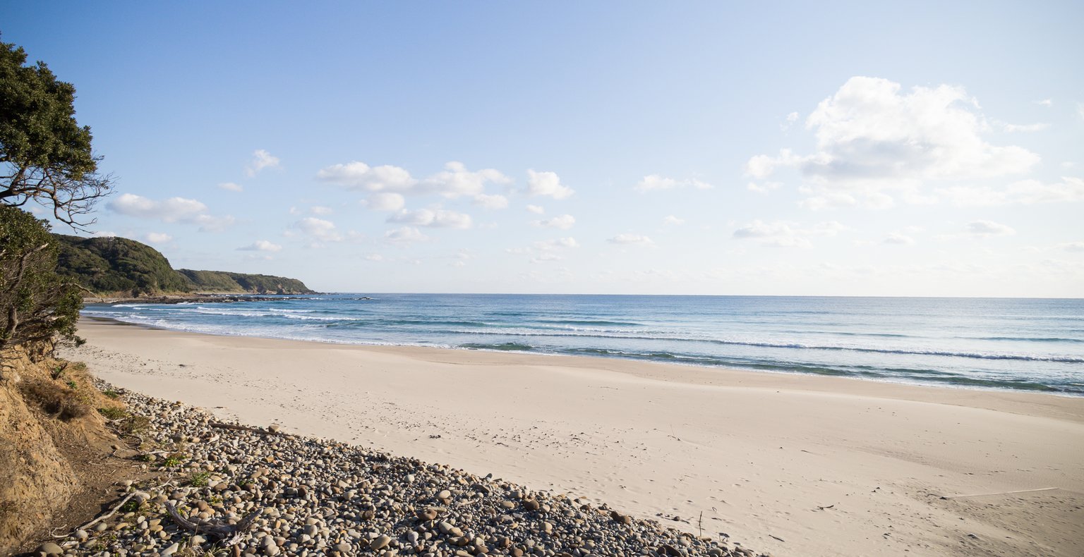 東京発種子島行きの格安チケットが¥25,559~