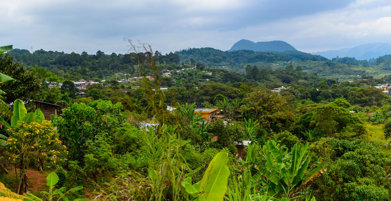 Vuelos baratos de Los Ángeles a Tapachula a partir de 185 €