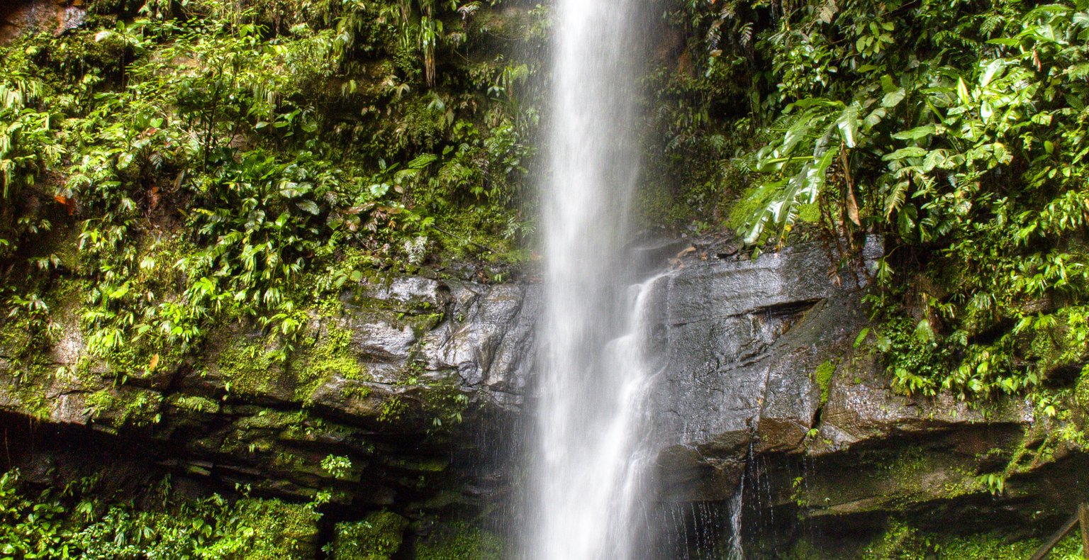 Find cheap flights to Tarapoto from £269