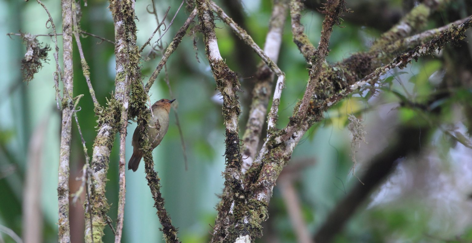 Finden Sie günstige Flüge nach Tari