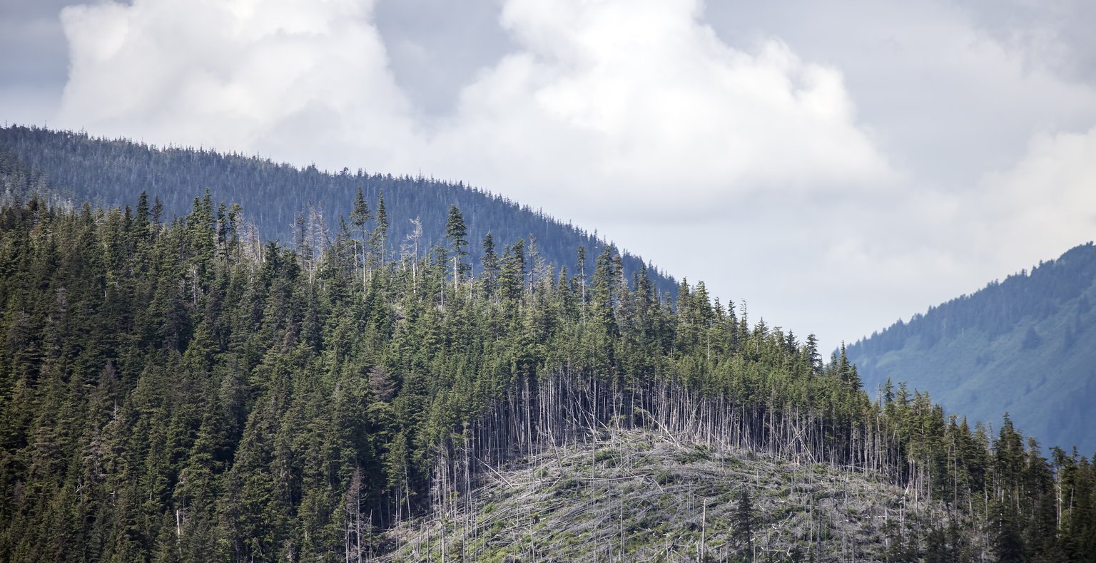 Trouvez des vols à prix mini vers Tenakee Springs