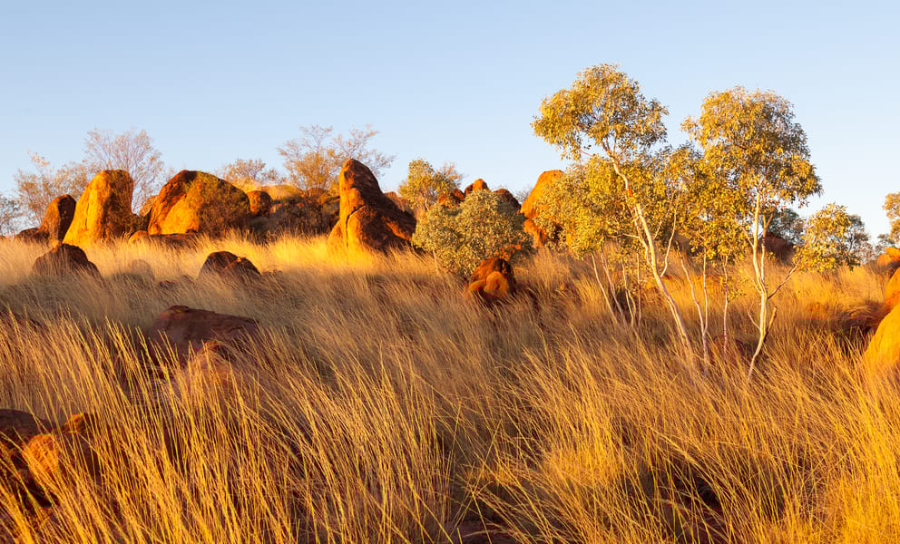 Cheap car rentals in Tennant Creek, Australia