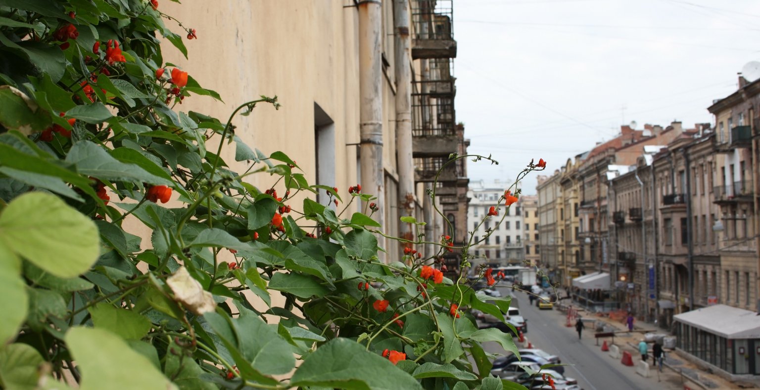 Cheap flights from Makassar to Ternate City from £58