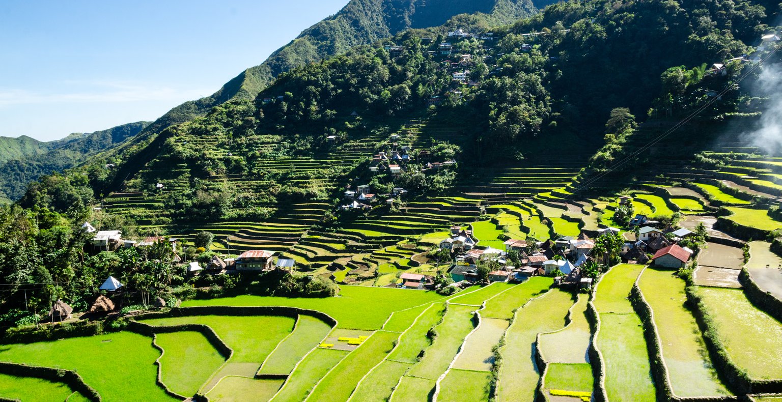 Trouvez des vols à prix mini to Terrace