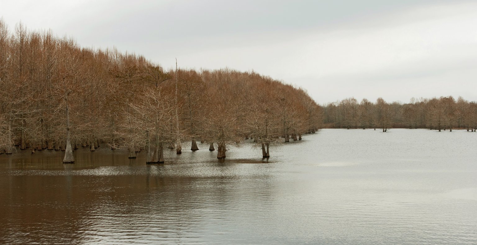 Find cheap flights to Texarkana