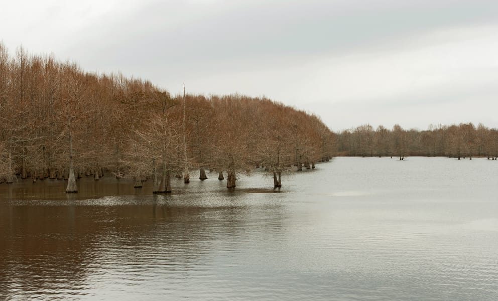 Cheap car rentals in Texarkana, United States