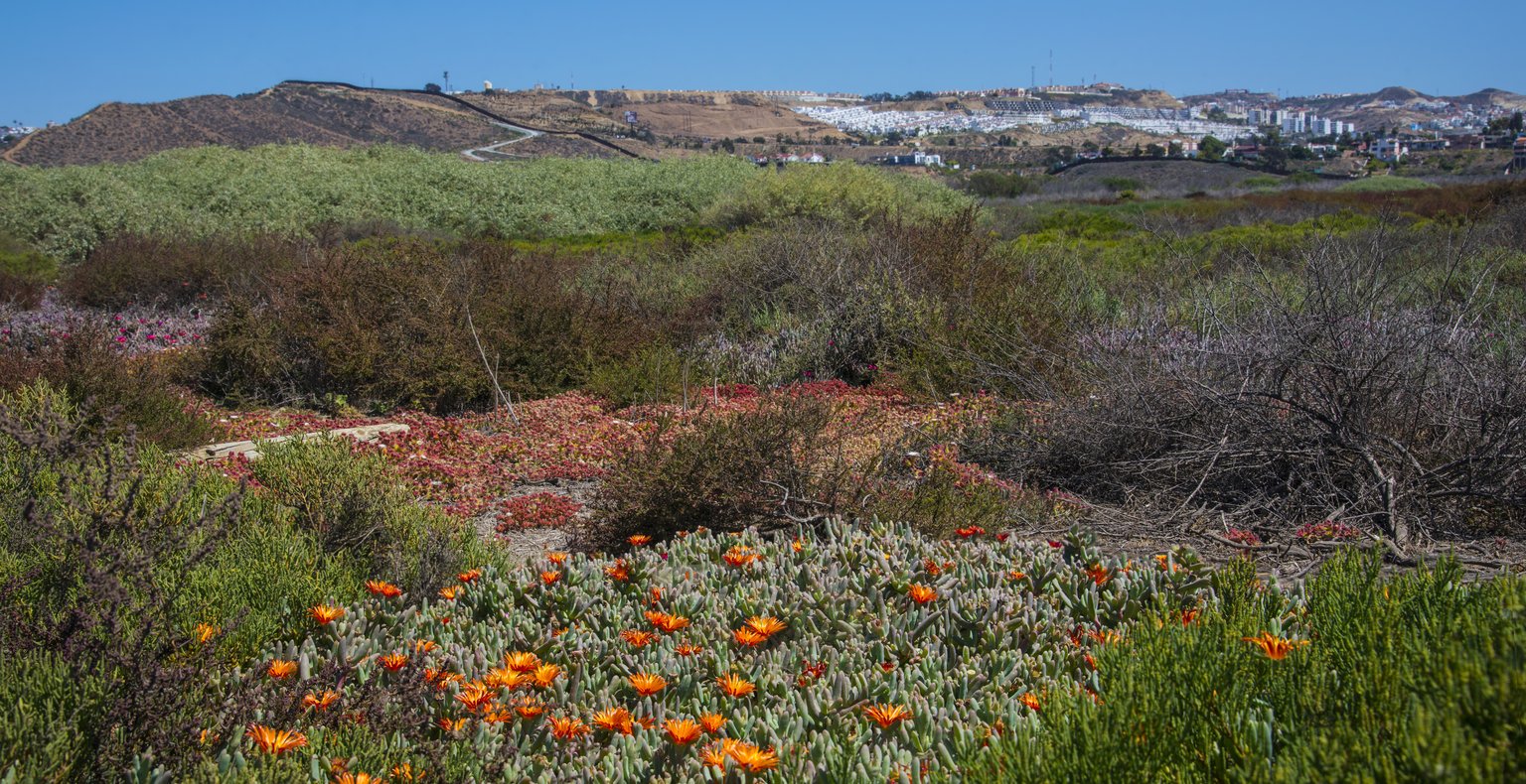 Find cheap flights to Tijuana from £226