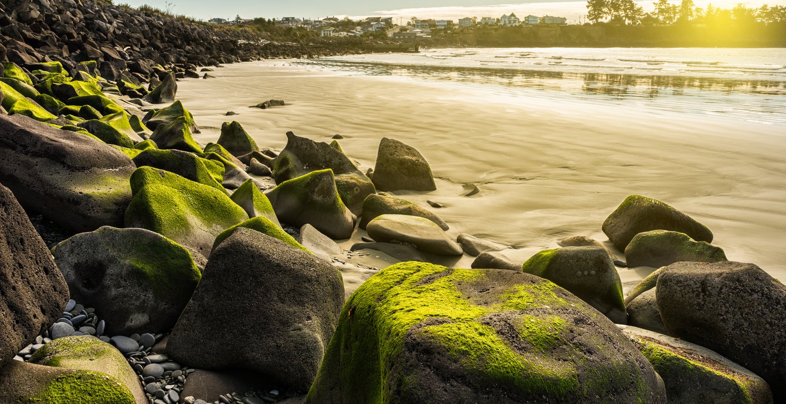 Find cheap flights to Timaru