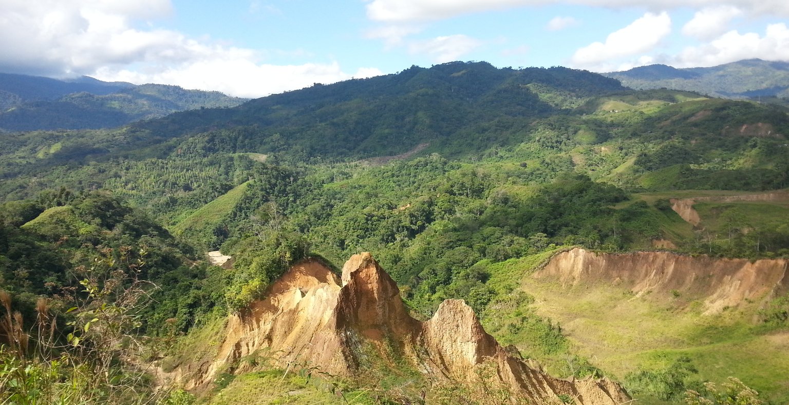 Vuelos baratos de Lima a Tingo María a partir de