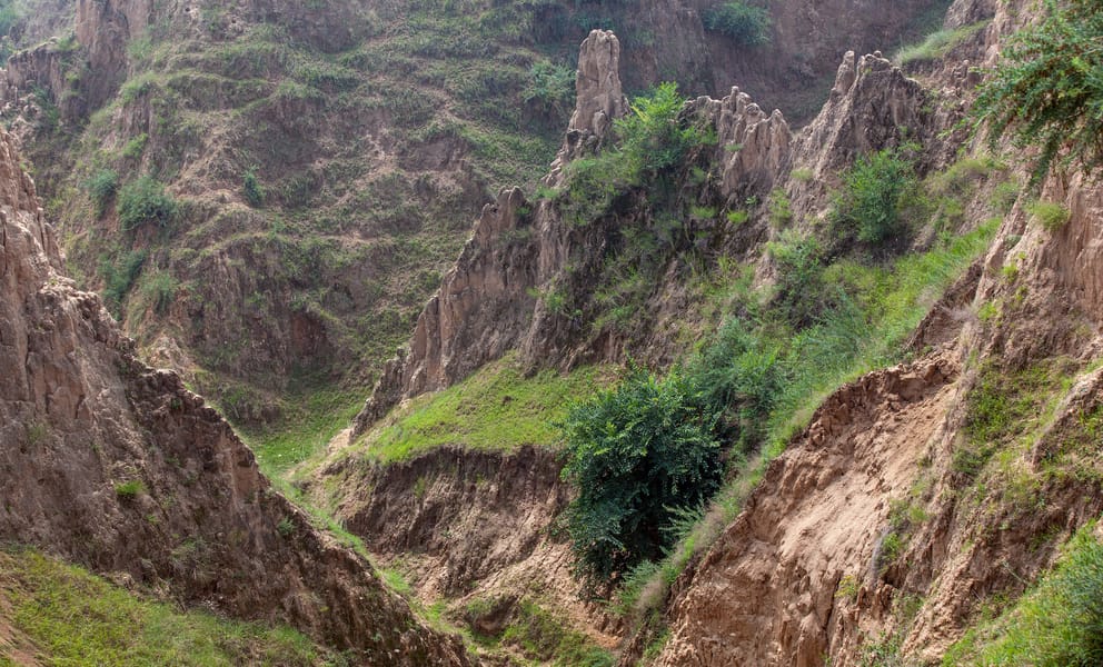Location de voiture pas chère à Tongliao, Chine
