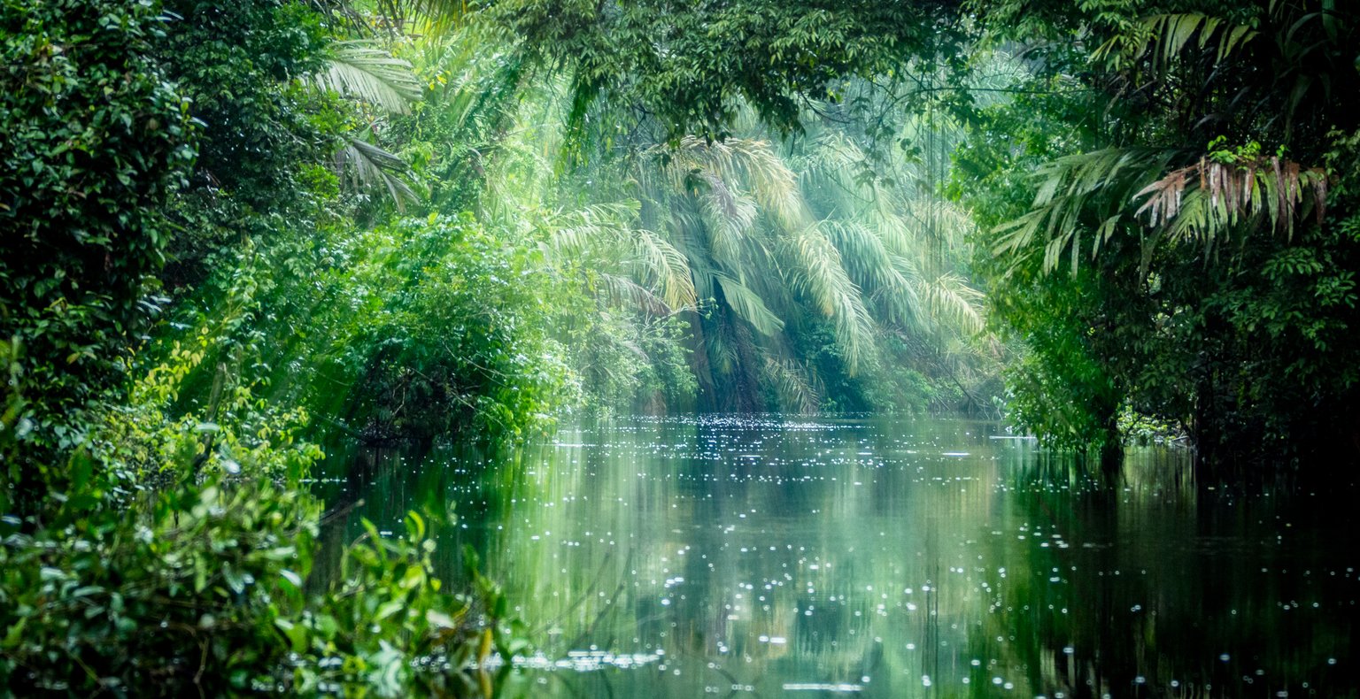 Cheap flights from San José to Tortuguero from £95