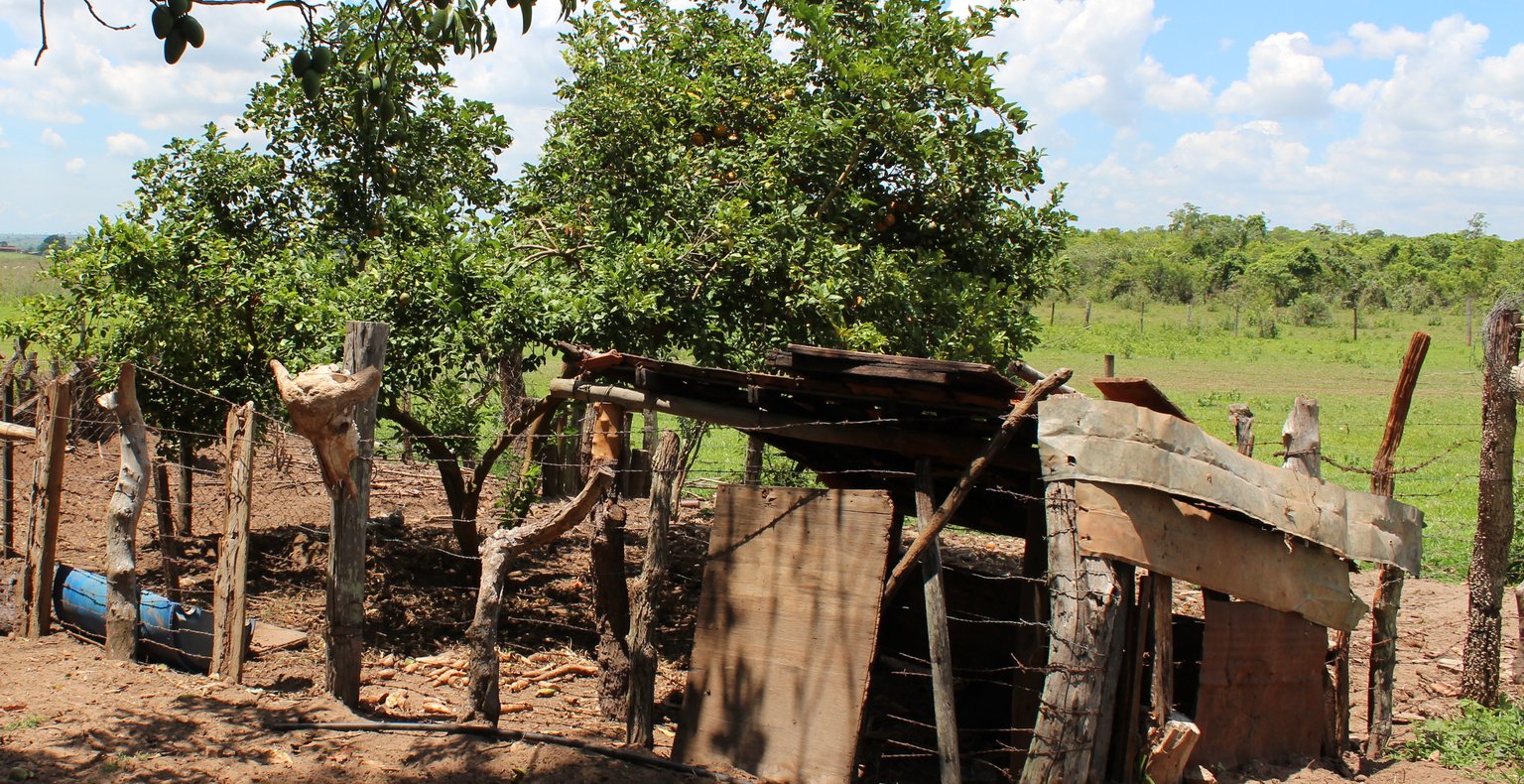 由从圣保罗前往到特雷斯-拉戈斯的低价航班仅需  起