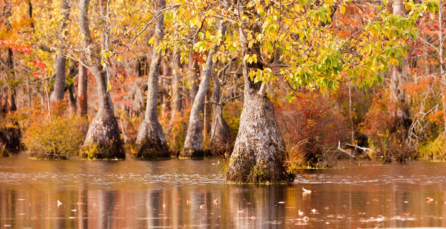 Cheap flights from Buffalo to Tupelo from $185