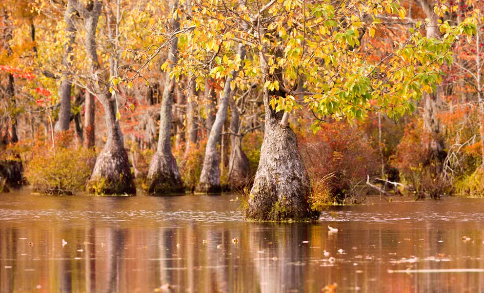 Cheap car rentals in Tupelo, United States