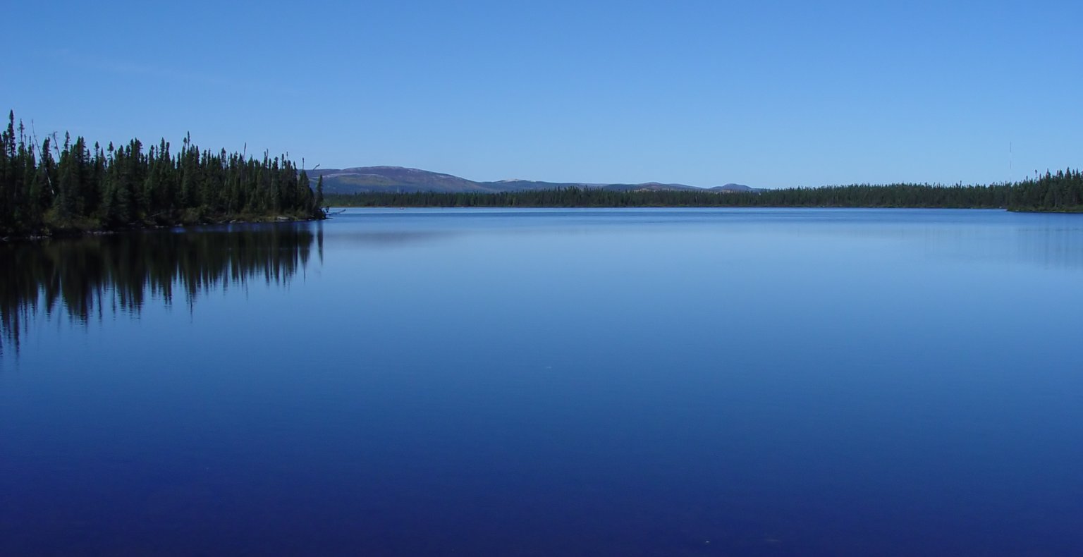 חיפוש טיסות זולות To Wabush