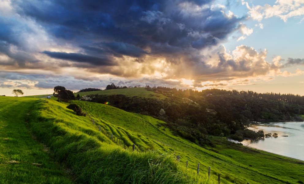 Cheap car rentals in Waitangi, New Zealand