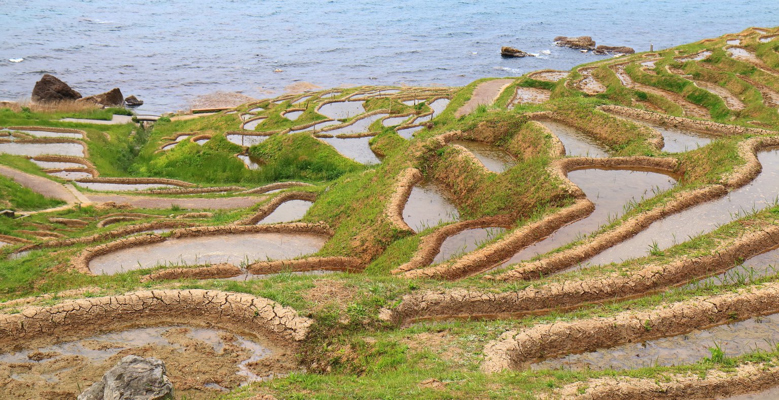 Find cheap flights To Wajima