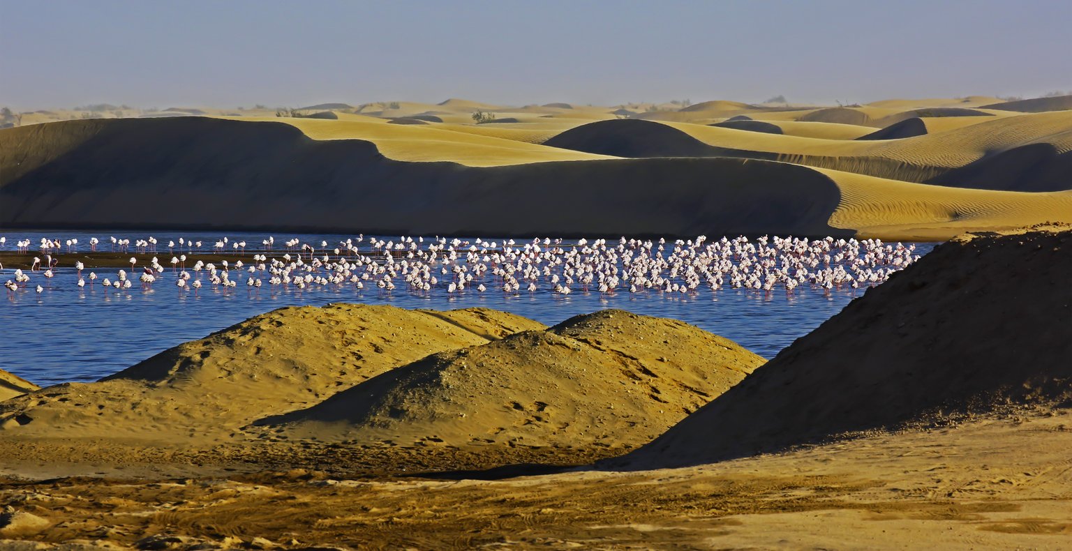 Find cheap flights to Walvis Bay