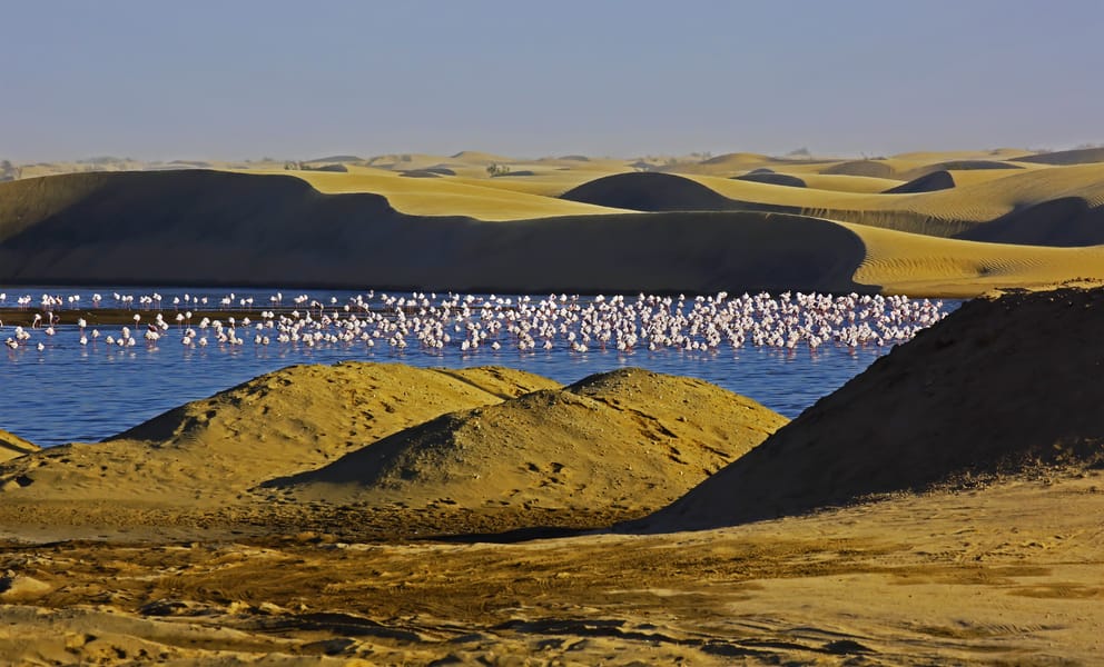 Cheap flights from Cape Town, South Africa to Walvis Bay, Namibia