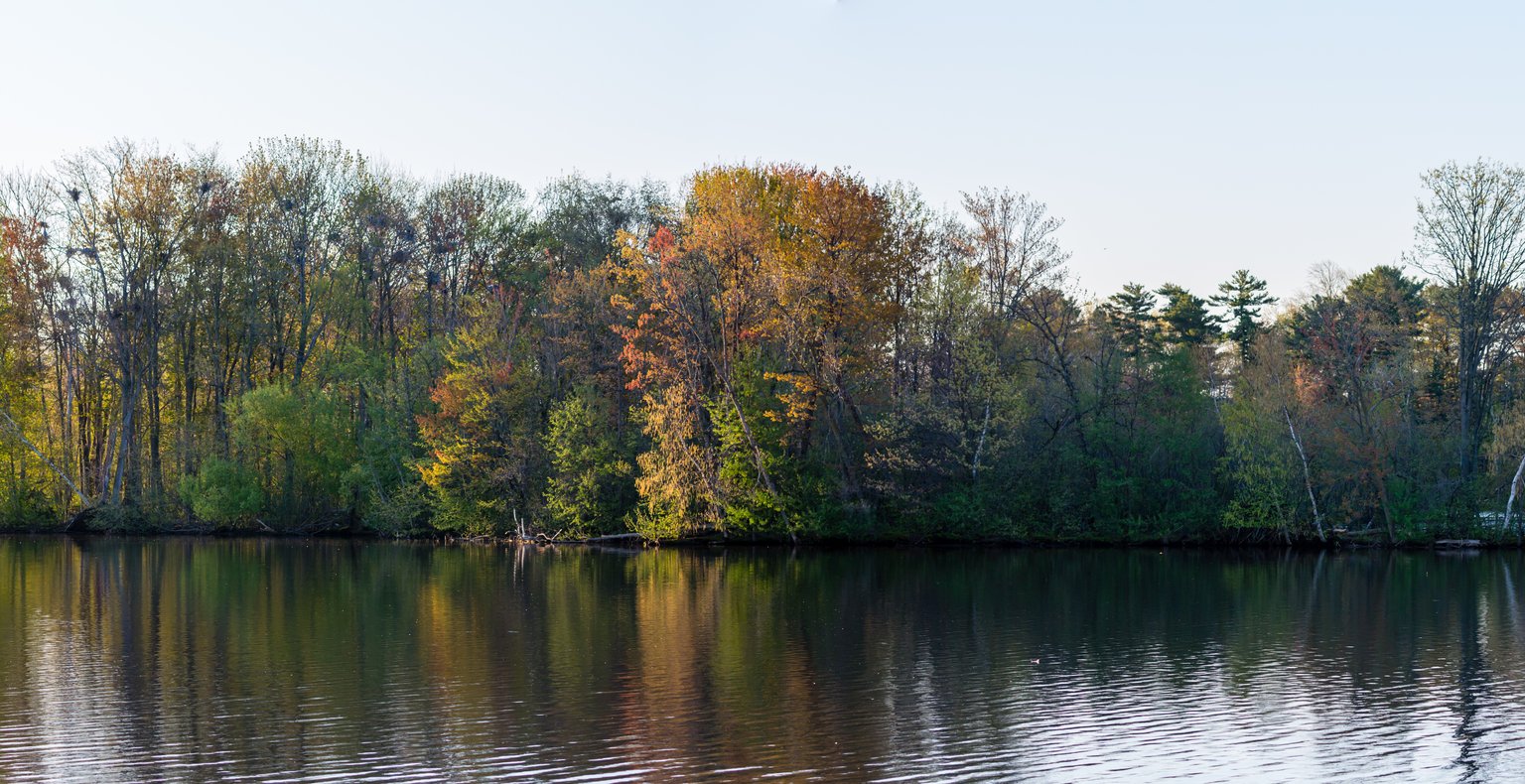 Finden Sie günstige Flüge nach Wausau