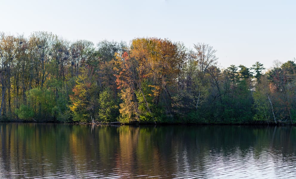 Cheap car rentals in Wausau, United States