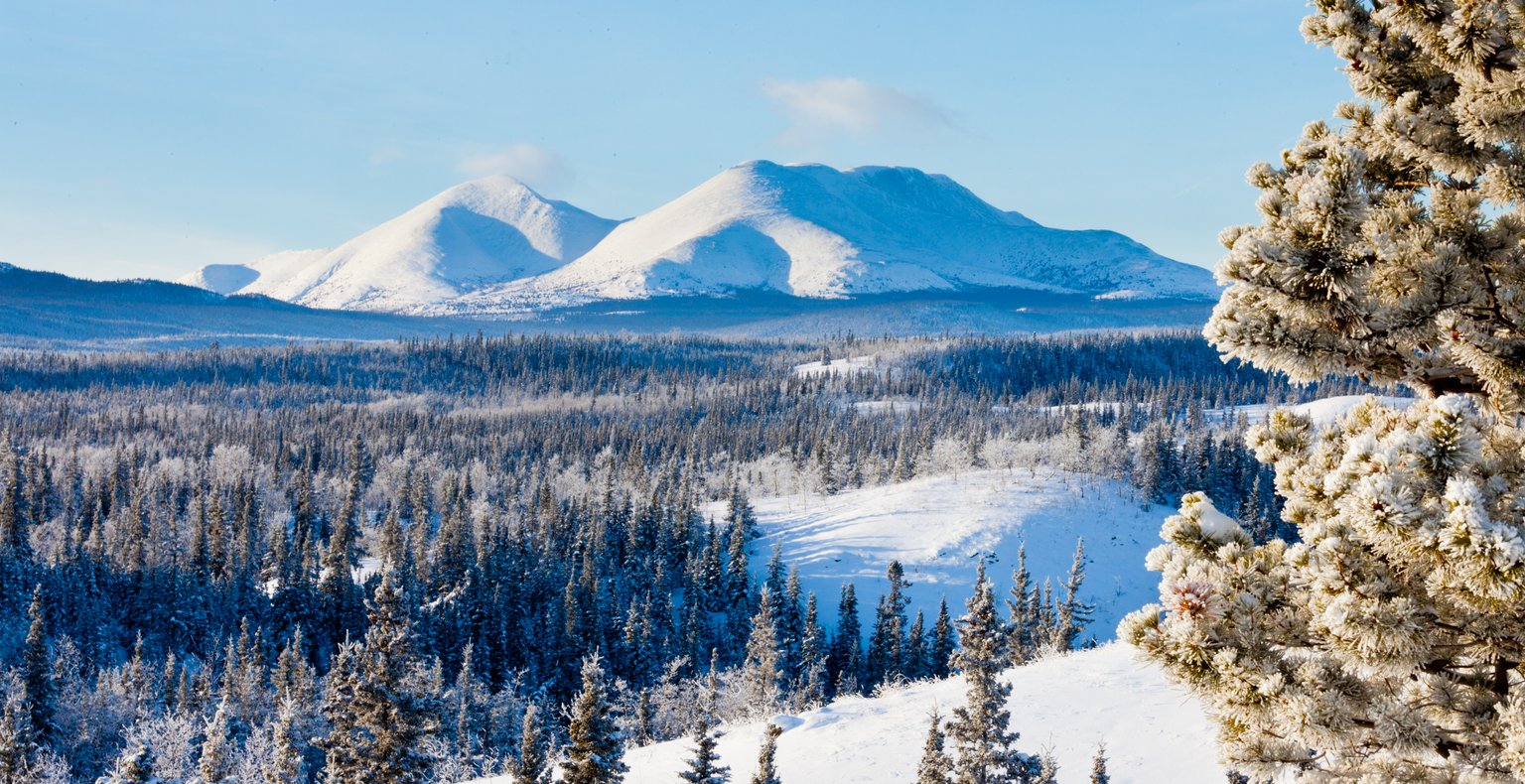 Cheap flights from Toronto to Whitehorse from CA$431