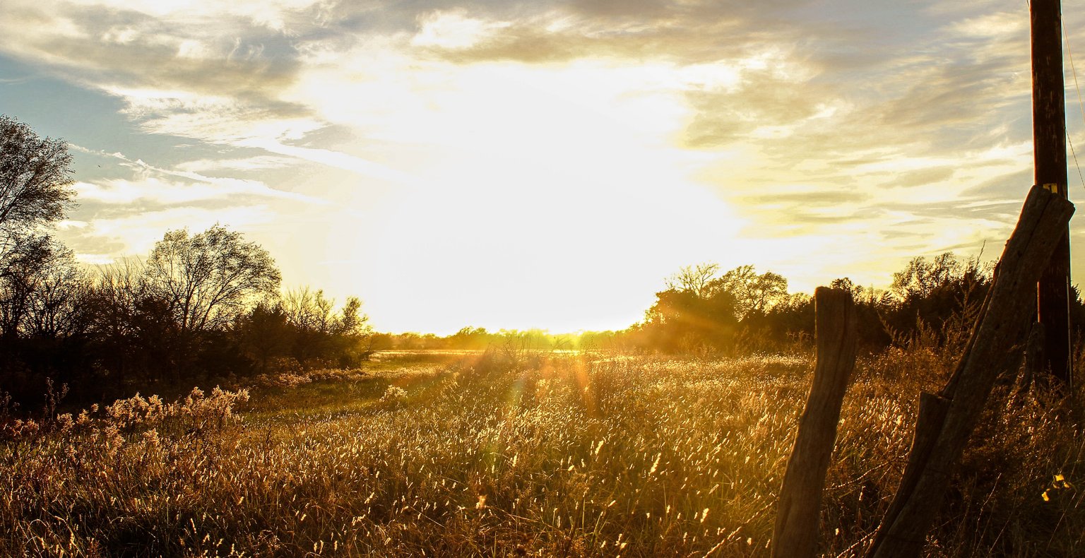 Zboruri ieftine to Wichita Falls, TX, Statele Unite ale Americii