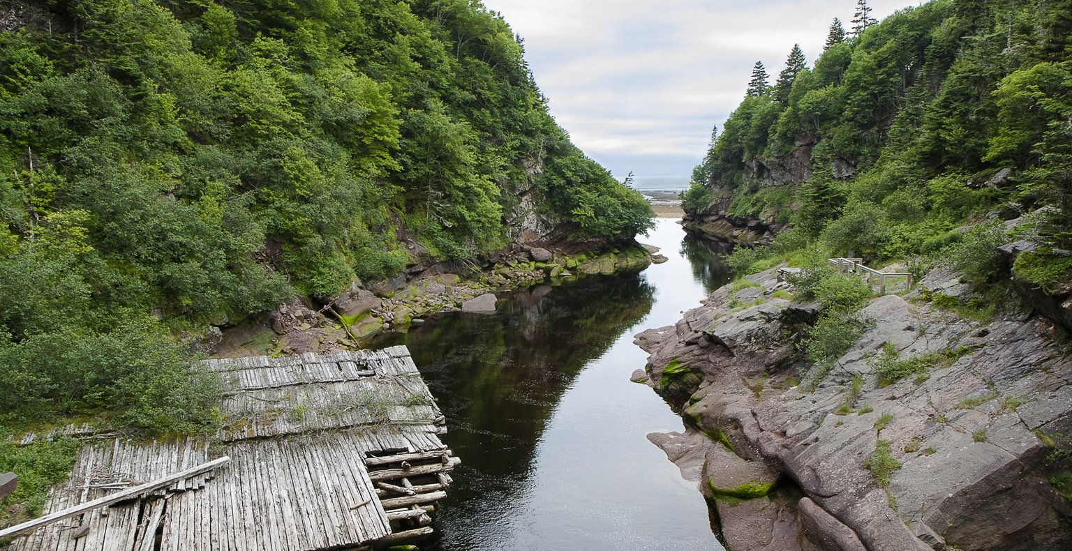 Find cheap flights to Wolf Point