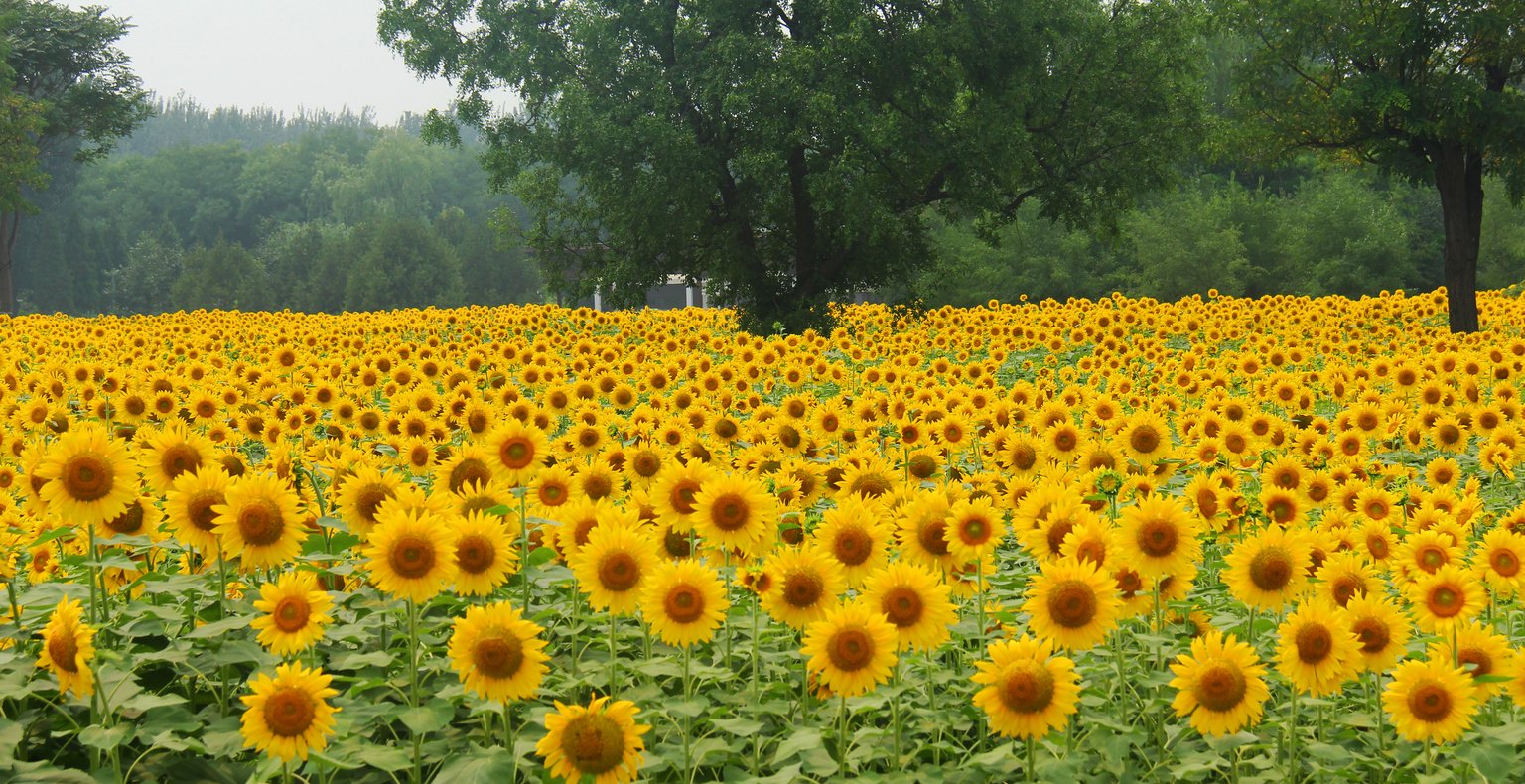 Cheap flights from Hangzhou to Xiangyang from £167