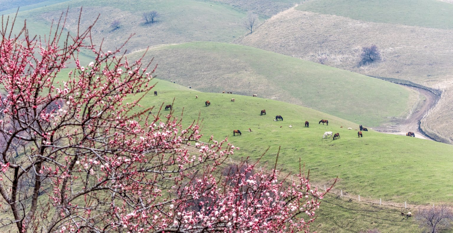 Najděte levné letenky do města Xinyuan County