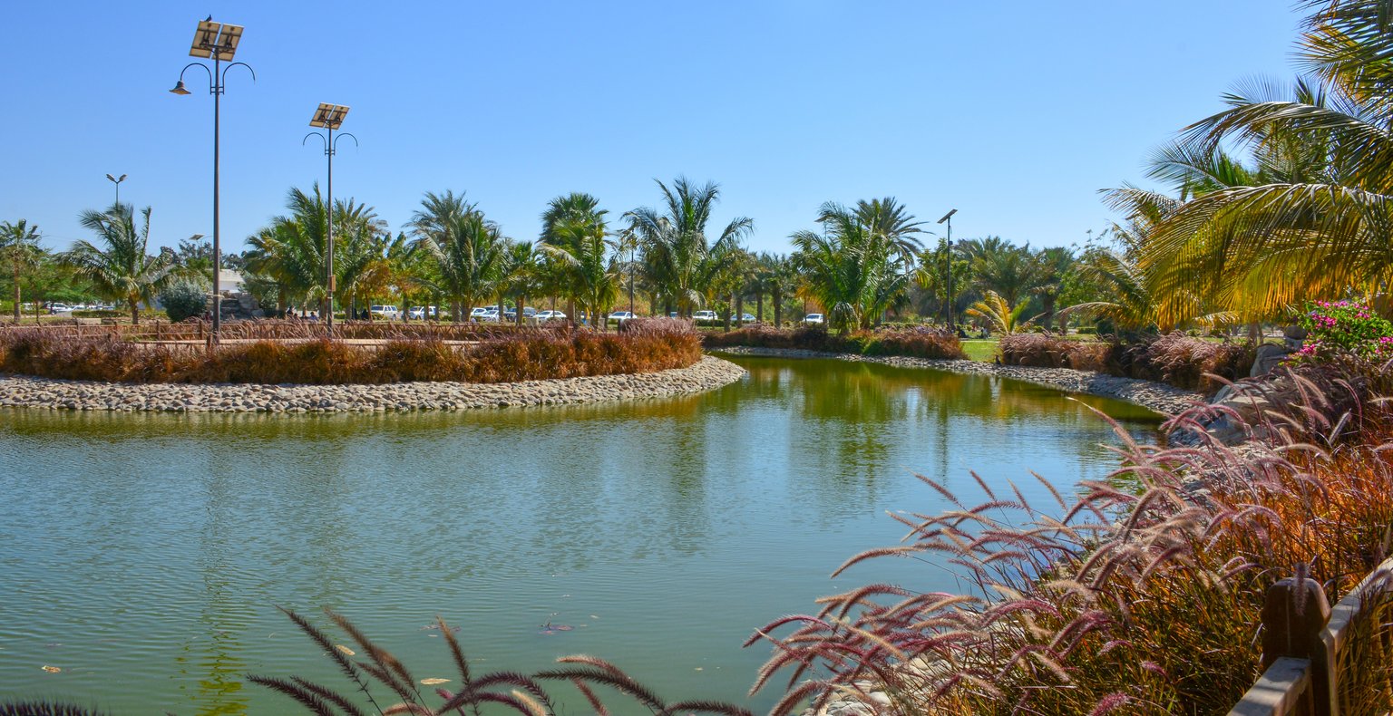 Cheap flights from Doha to Yanbu from $166