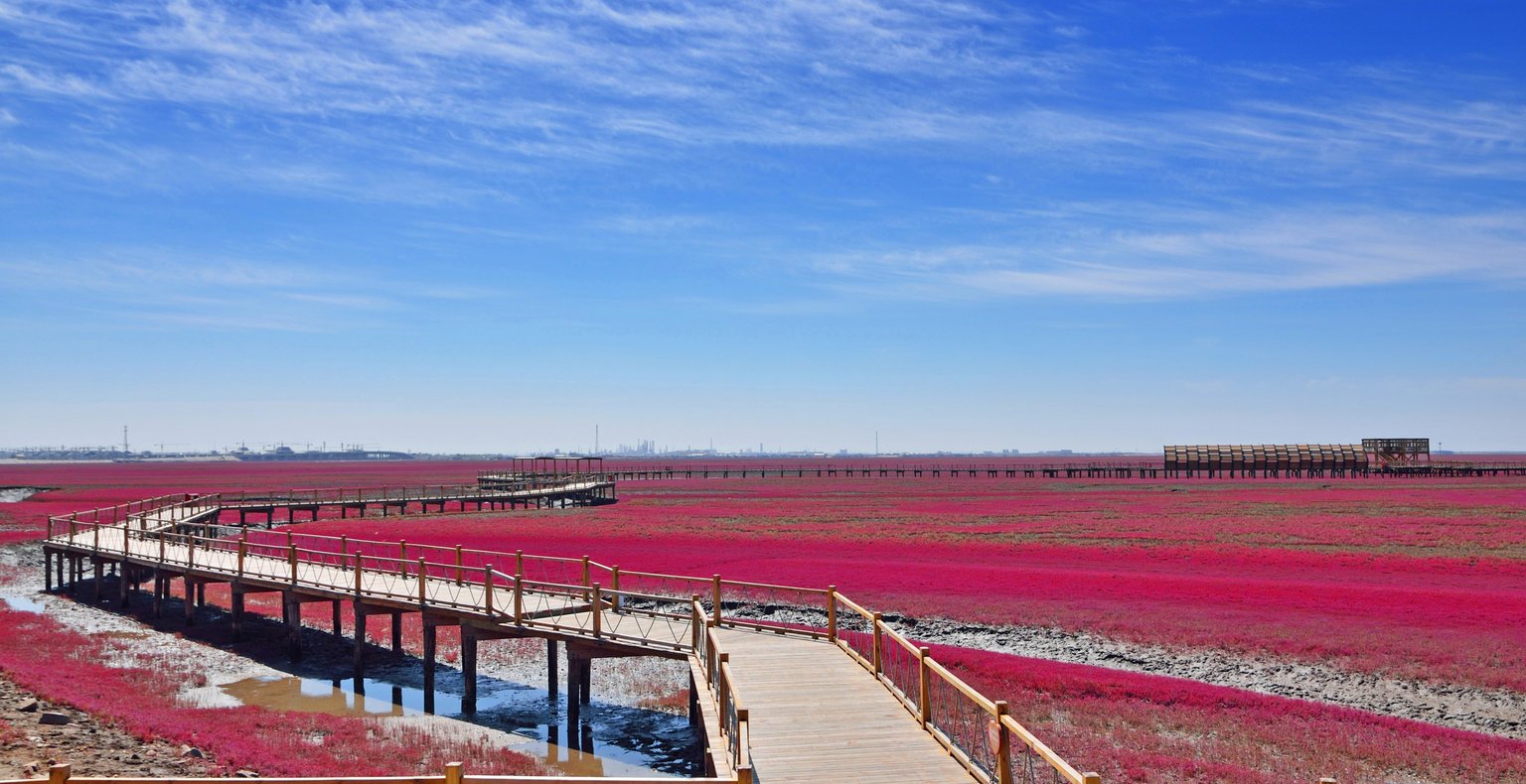 由从广州前往到营口的低价航班仅需 起