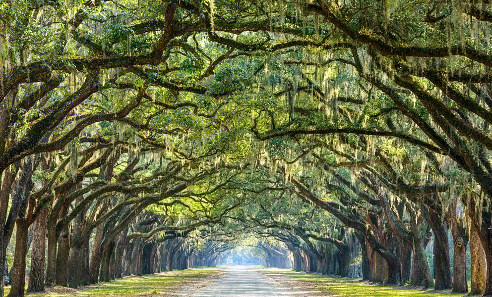 Cheap flights from Dayton, OH to Savannah, GA starting at ยฃ170