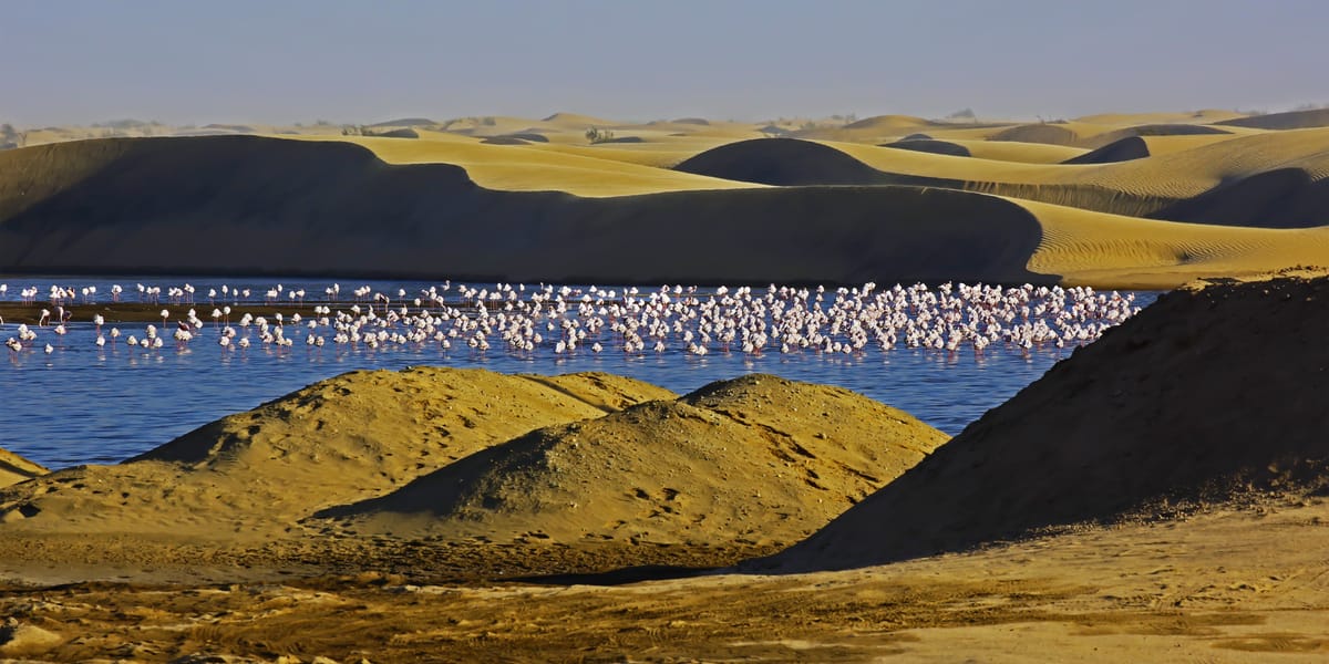 Günstige Flüge von Johannesburg nach Walvis Bay ab SFr. 163 | Kiwi.com